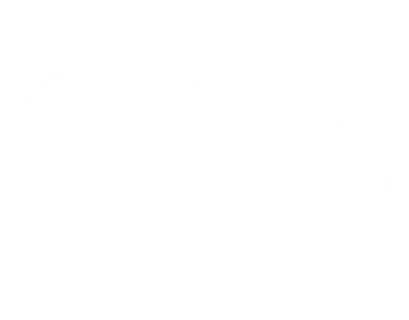 Institut Valencià de Cultura